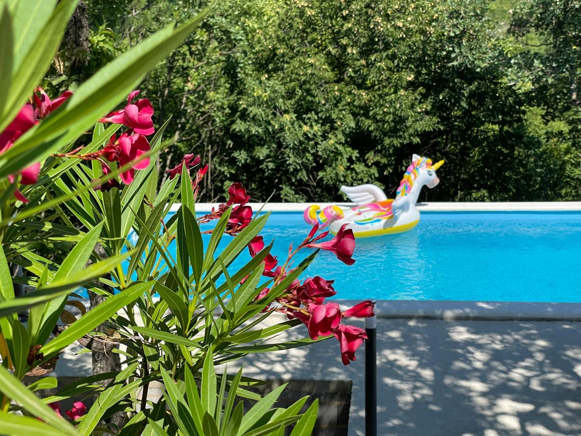 Holiday House Dunamis Krivodol 외부 사진